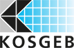 kosgeb teşvik danışma